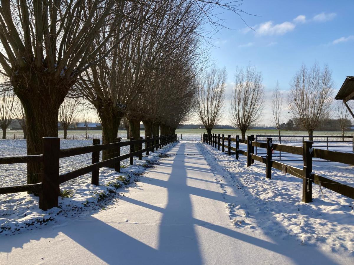 De Burkelhoeve Appc Maldegem Exterior foto